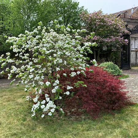 Les Jardins D'elise, Calme Et Verdure A Lure *