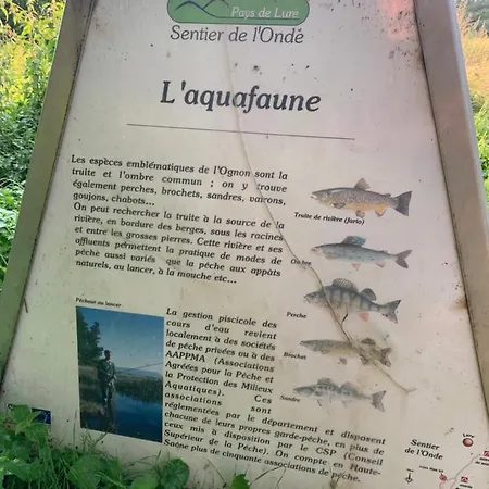 Les Jardins D'elise, Calme Et Verdure A Lure * Lure (Haute-Saone)
