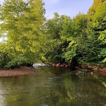 Les Jardins D'elise, Calme Et Verdure A Lure *